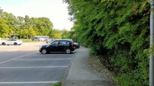 marciapiede invaso dalla vegetazione
